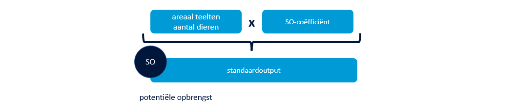 Berekening standaardverdiencapaciteit