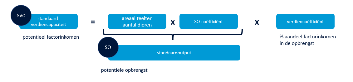 Berekening standaardverdiencapaciteit - afbeelding 2